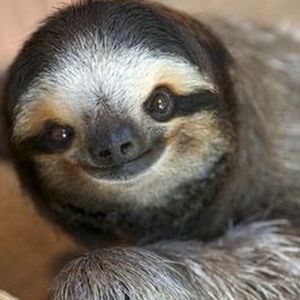 Meet your Posher, Janet